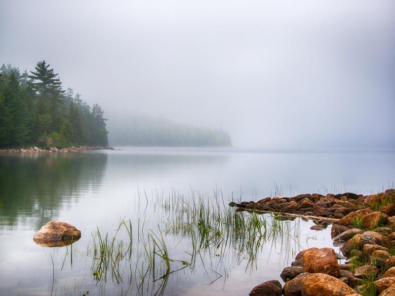Fog at Lake