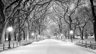 Snow in City Park